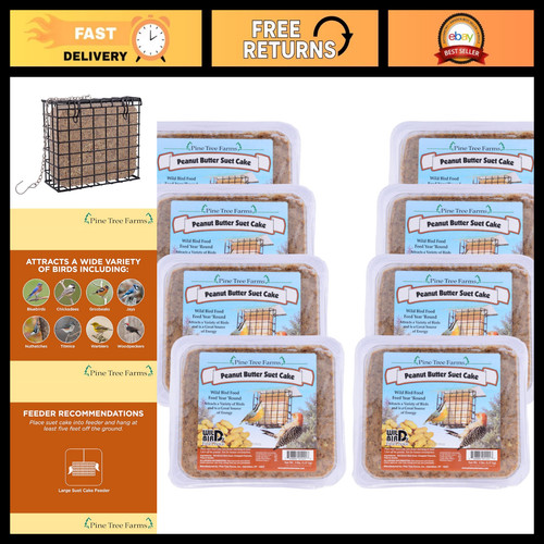 Peanut butter suet - peanut, cake